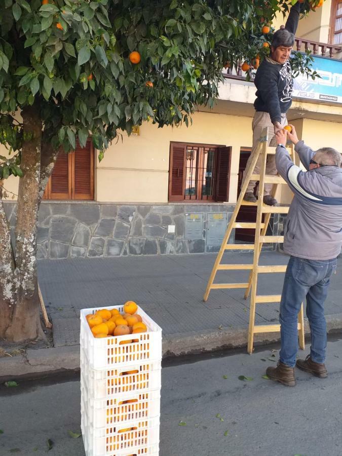 La Francisca Daire San Salvador de Jujuy Dış mekan fotoğraf